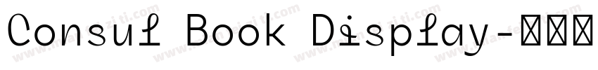 Consul Book Display字体转换